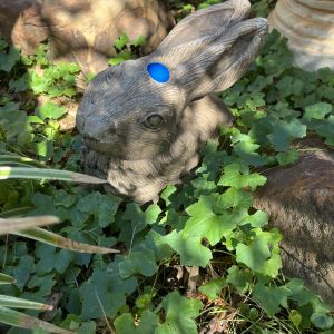 Outdoor Bunny Statue